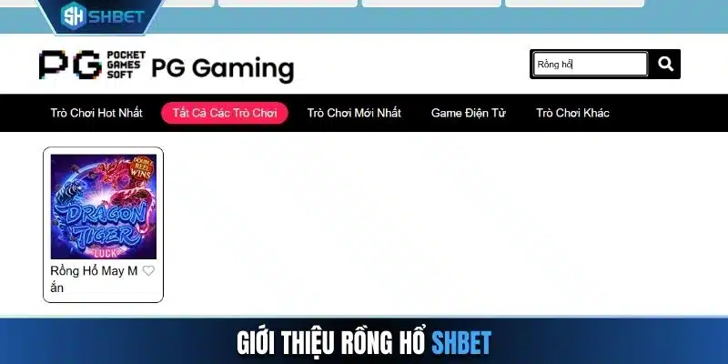 Giới thiệu Rồng Hổ SHBET