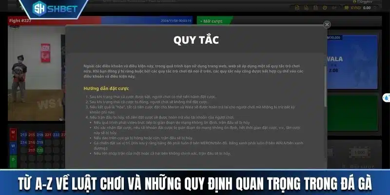 Từ A-Z về luật chơi và những quy định quan trọng trong đá gà