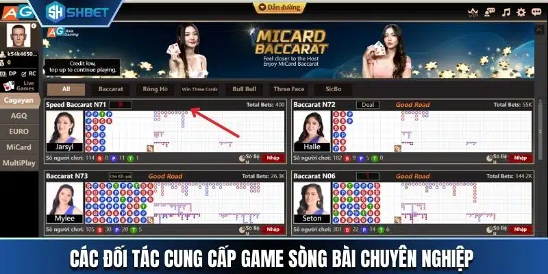 Các đối tác cung cấp game sòng bài chuyên nghiệp 