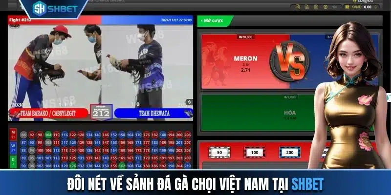 Đôi nét về sảnh đá gà chọi Việt Nam tại SHBET