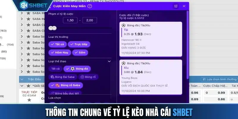 Thông tin chung về tỷ lệ kèo nhà cái SHBET cho người mới tham gia